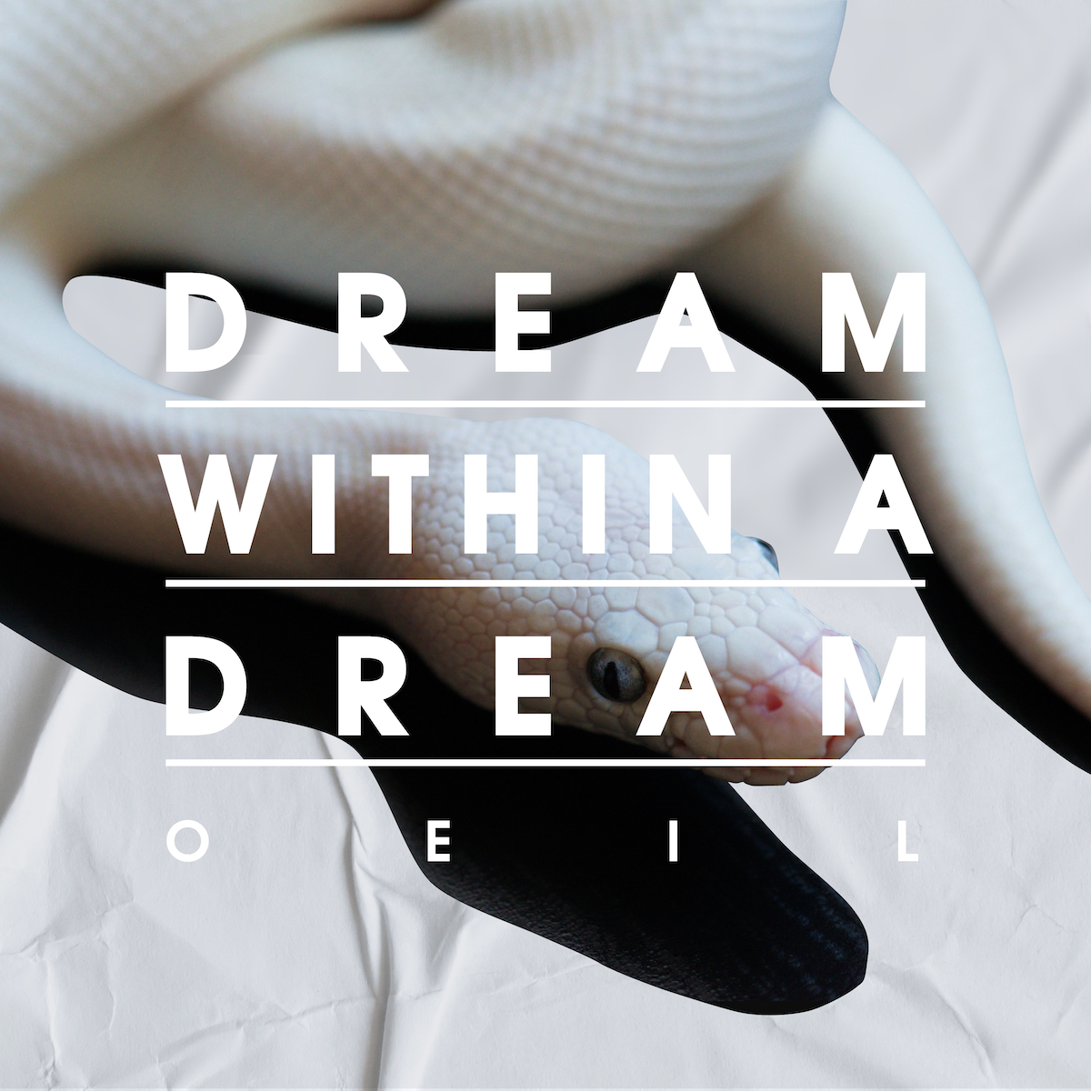 Oeil - Dream Within a Dream (CD) – Garnet Records