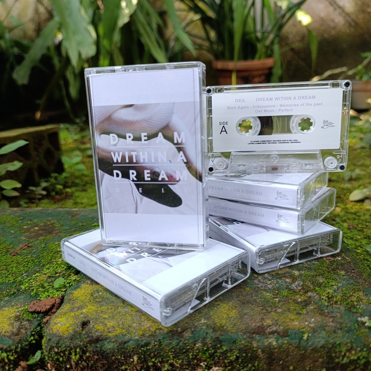 【中古】 Dream　in　dream/ＣＤシングル（１２ｃｍ）/TH-202 Dream Within a Dream (LP/CD/TAPE) – Garnet Records