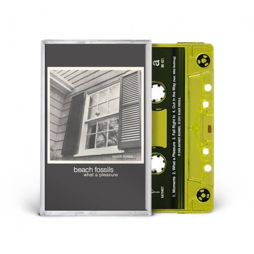 What A Pleasure (Cassette)